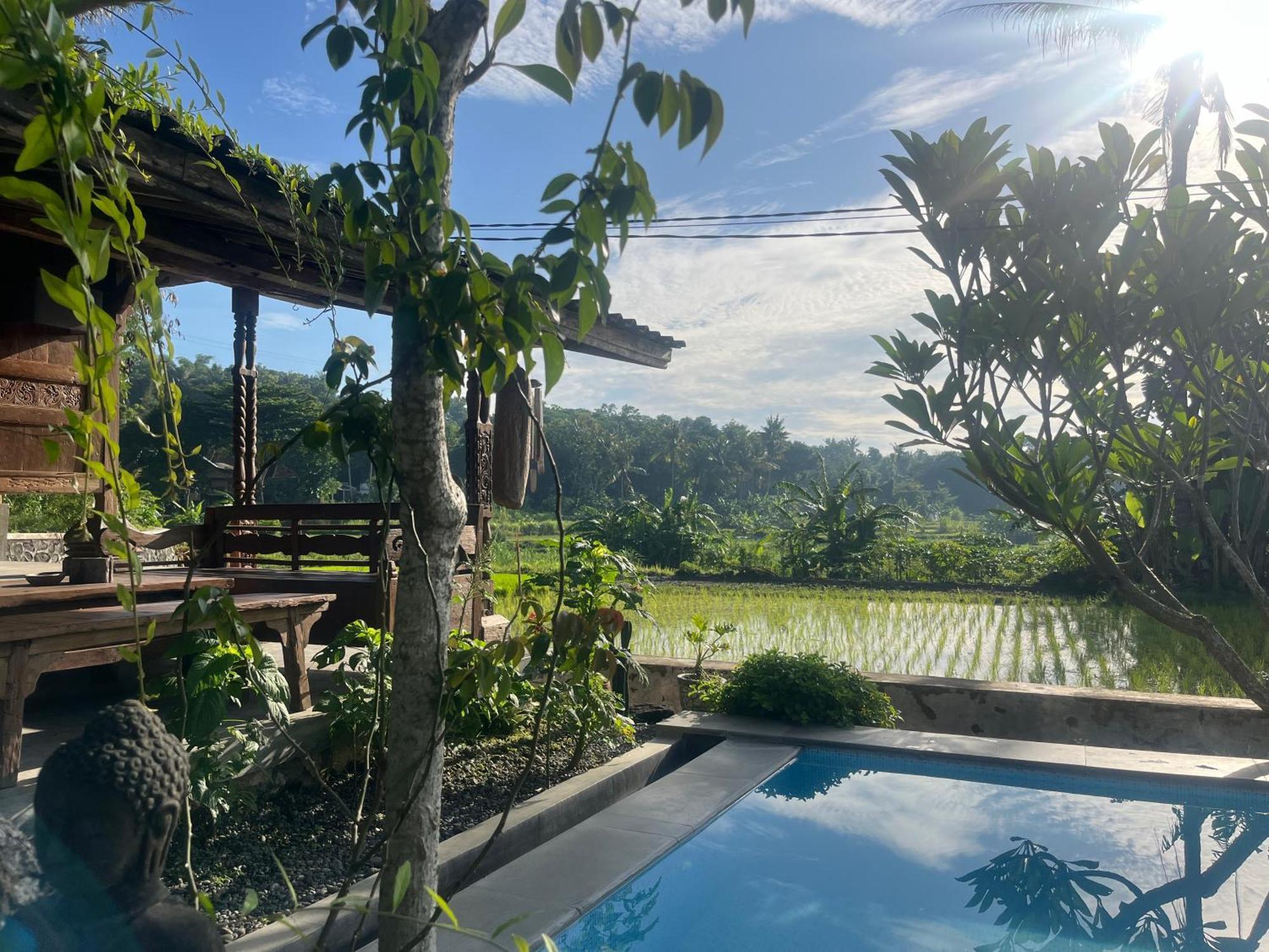 Villa Nextdoor Nature Yogyakarta Бантул Екстериор снимка