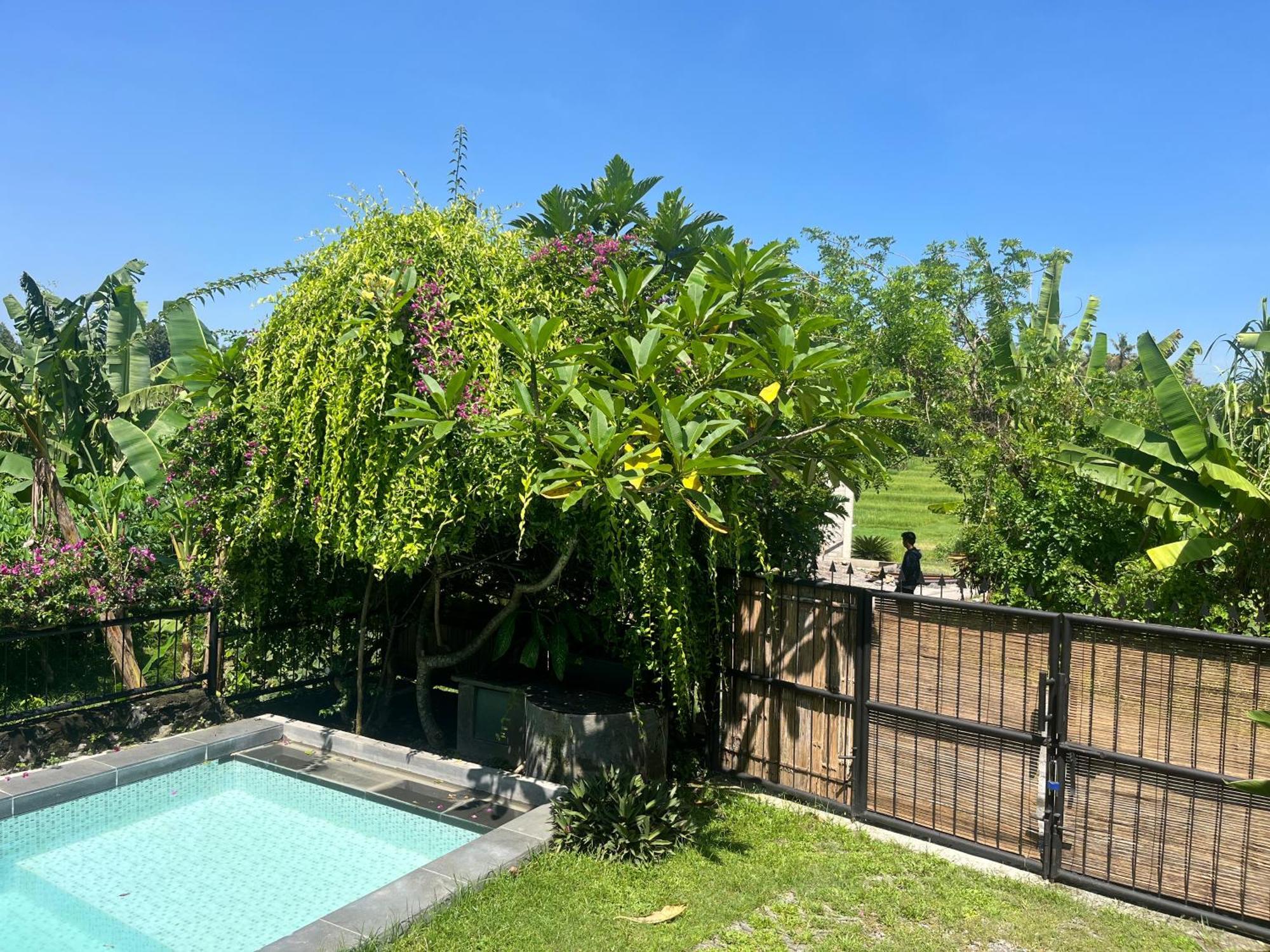 Villa Nextdoor Nature Yogyakarta Бантул Екстериор снимка